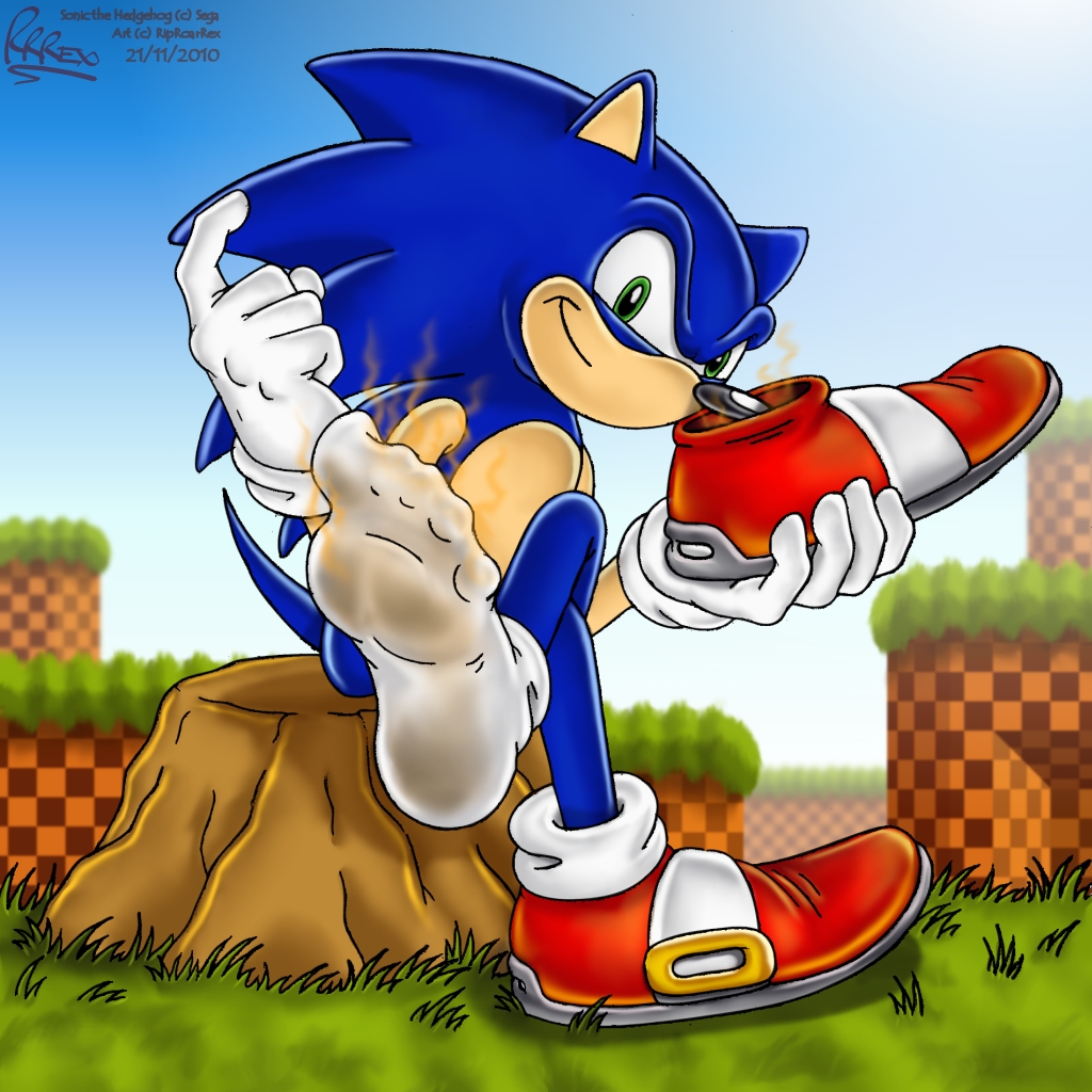 SonicSneakerFresh.jpg