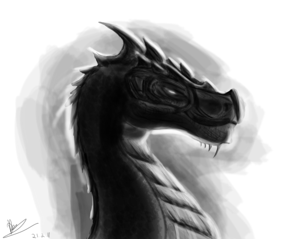 Dragon Concept.jpg