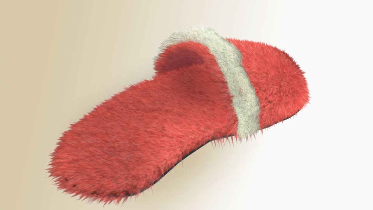 slipper.jpg