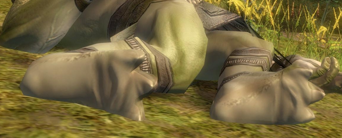 guildwars2-ettinfeet (231).jpg