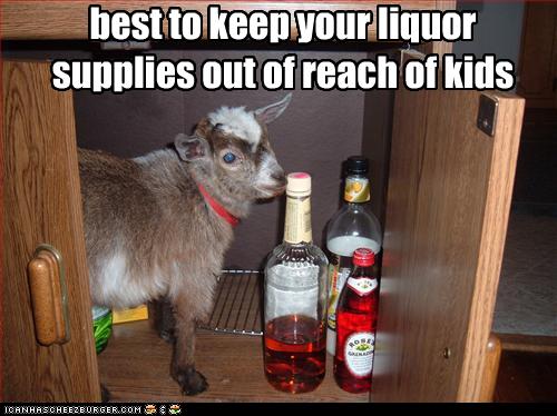 funny-pictures-kid-reaches-alcohol.jpg